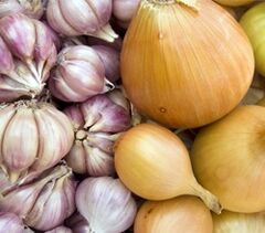 onion and garlic to treat nail fungus